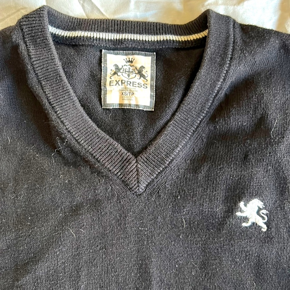 Express v neck sweater size XS